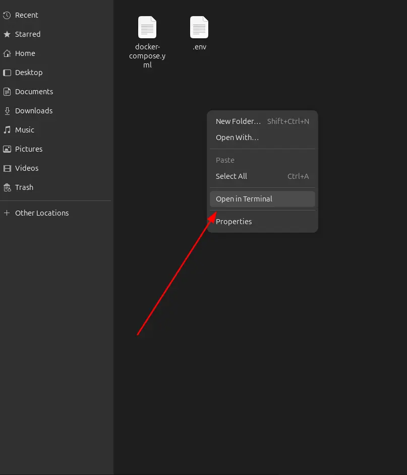 webappsterm